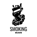 Smoking Buds cannabis dispensary